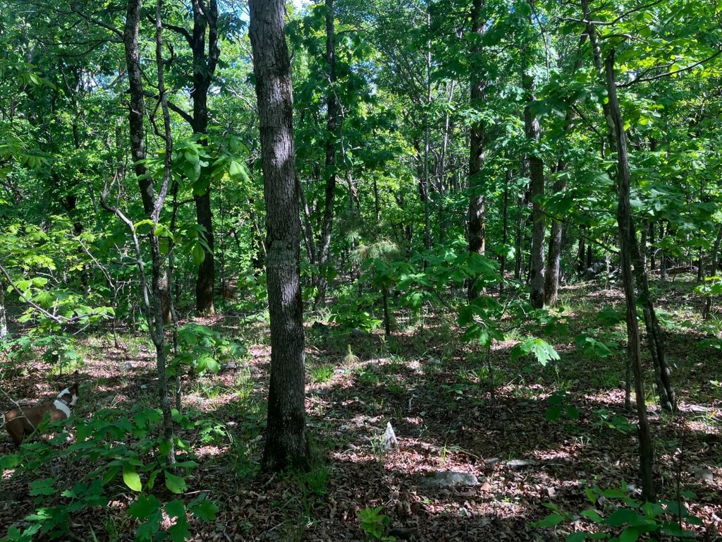 Picture 6