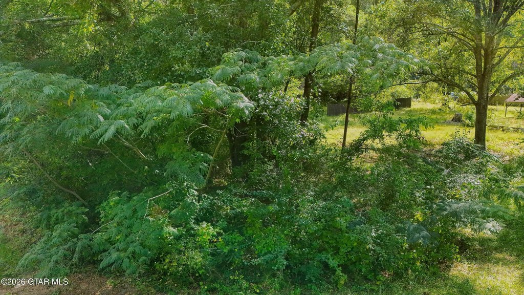 Picture 16