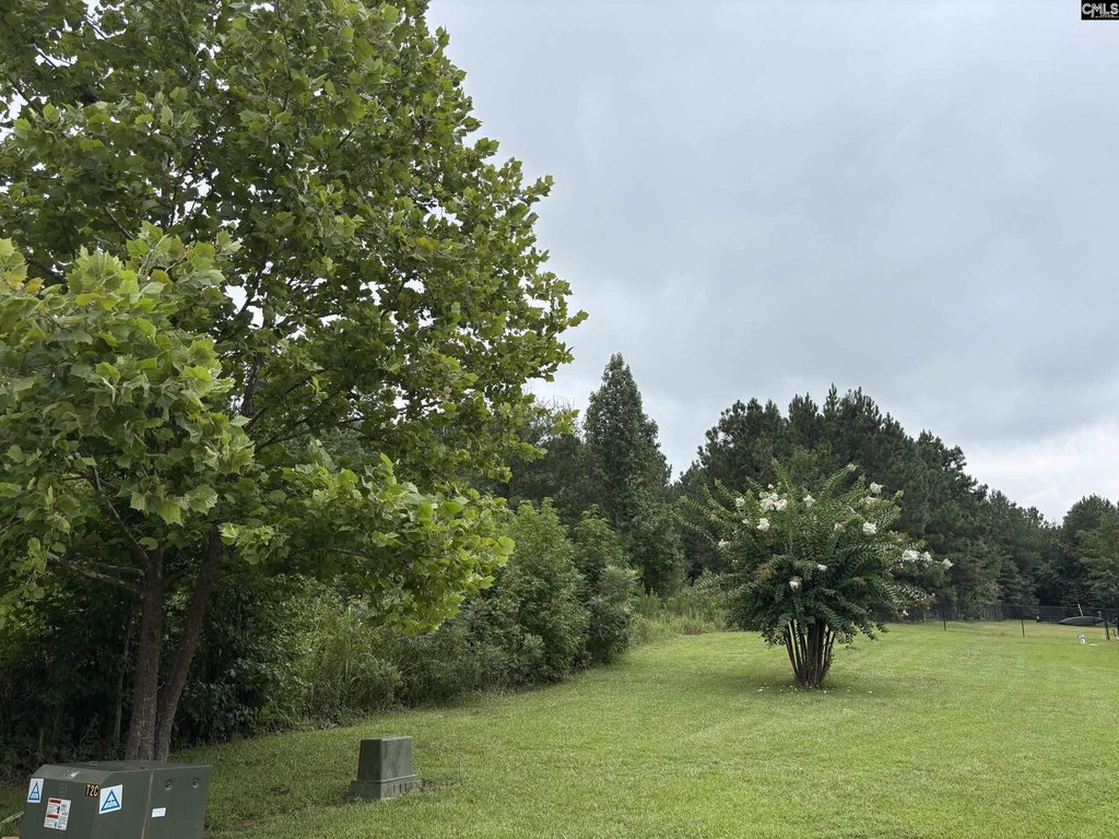 Picture 4