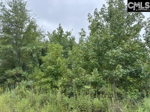 LOTS AND ACREAGE, Blythewood, SC