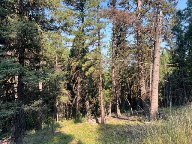 Seeley Lake Land Opportunity