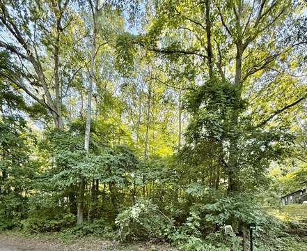 Land with Lake Access