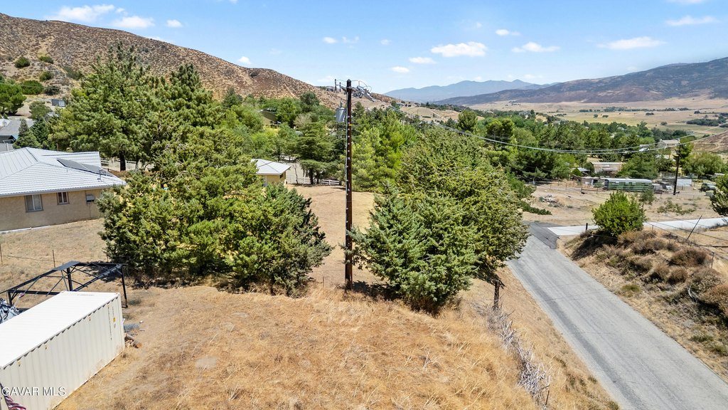 Picture 16