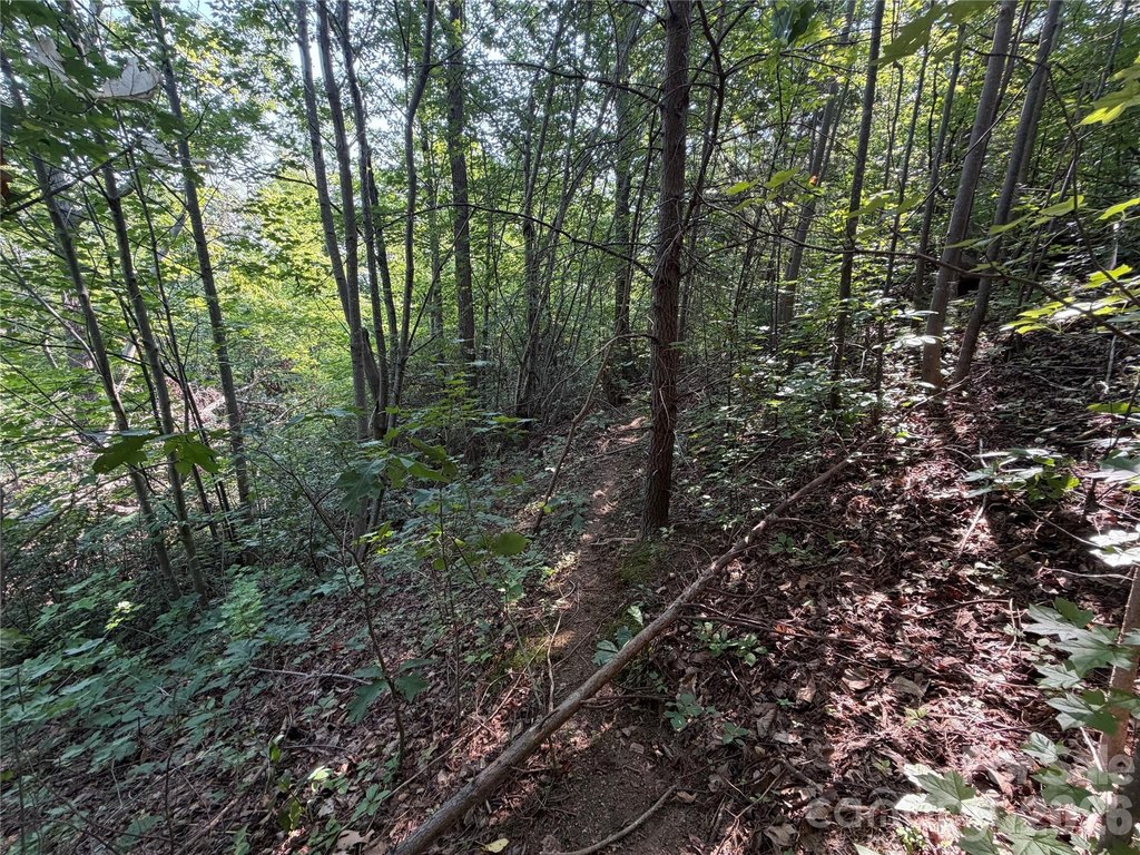 Picture 25