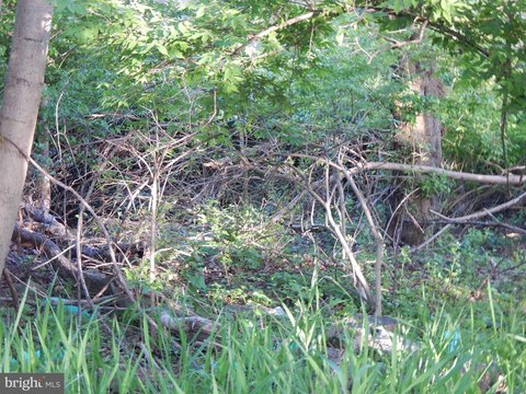 Residential Land in Martinsburg, WV