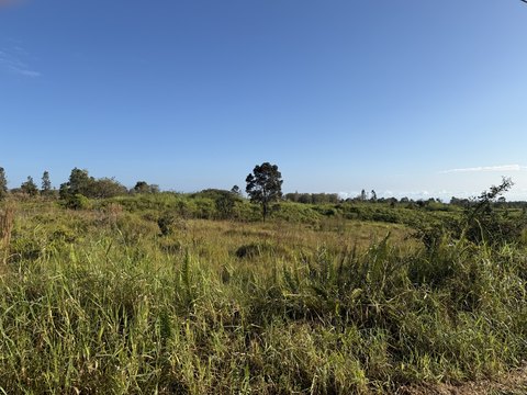 Prime Land in Mountain View