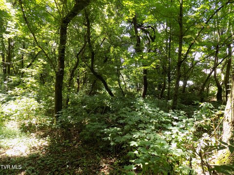LAND - Rogersville, TN