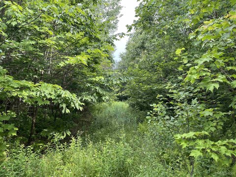80 Acres Recreational Land