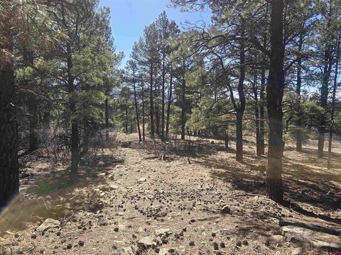 Land in Pagosa Springs, CO