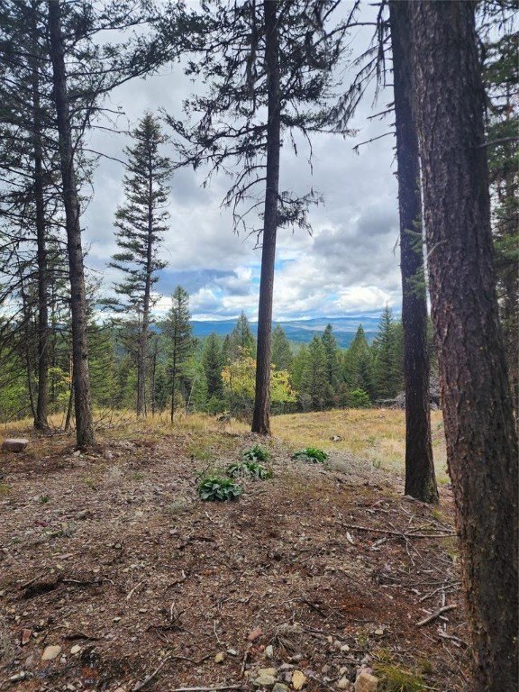 Seeley Lake Land with Creek