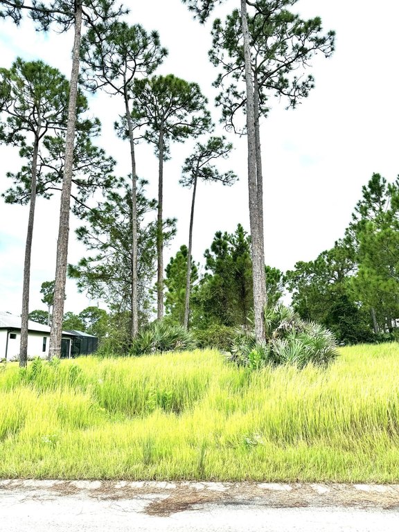 Picture 9