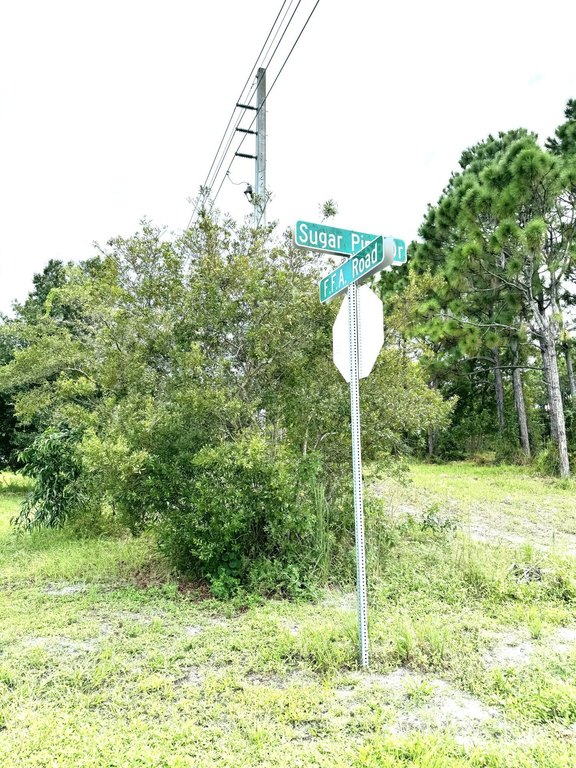 Picture 15