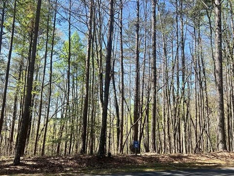 Serene Wooded Lot Near Carters