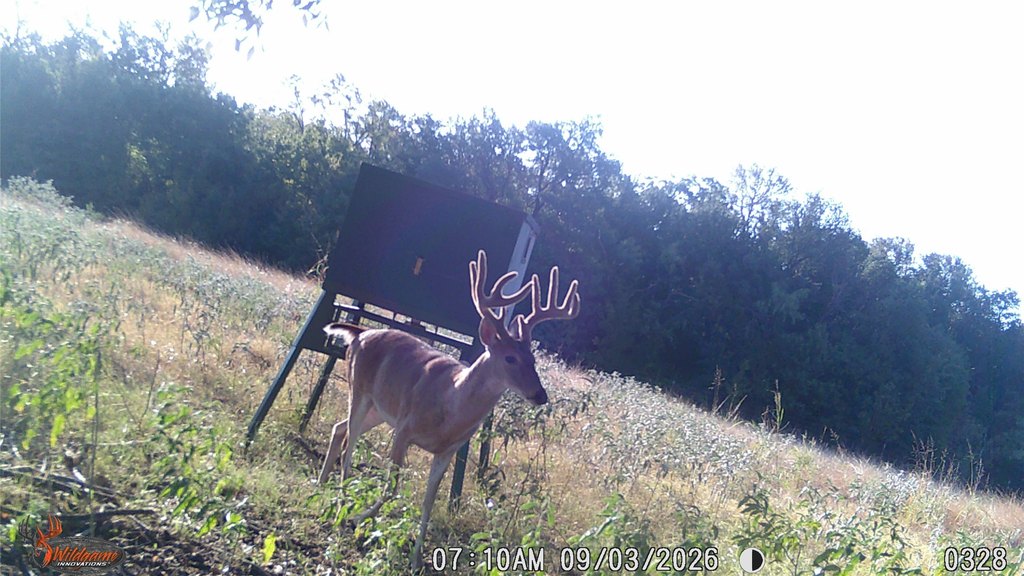Picture 15