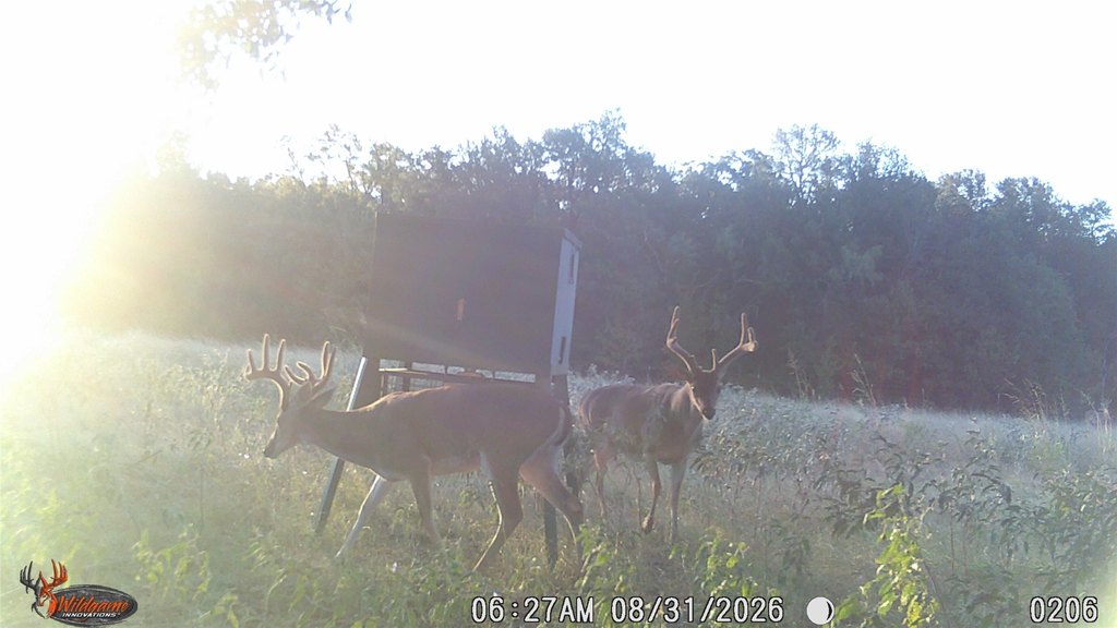 Picture 14