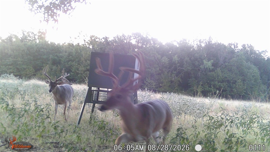 Picture 11