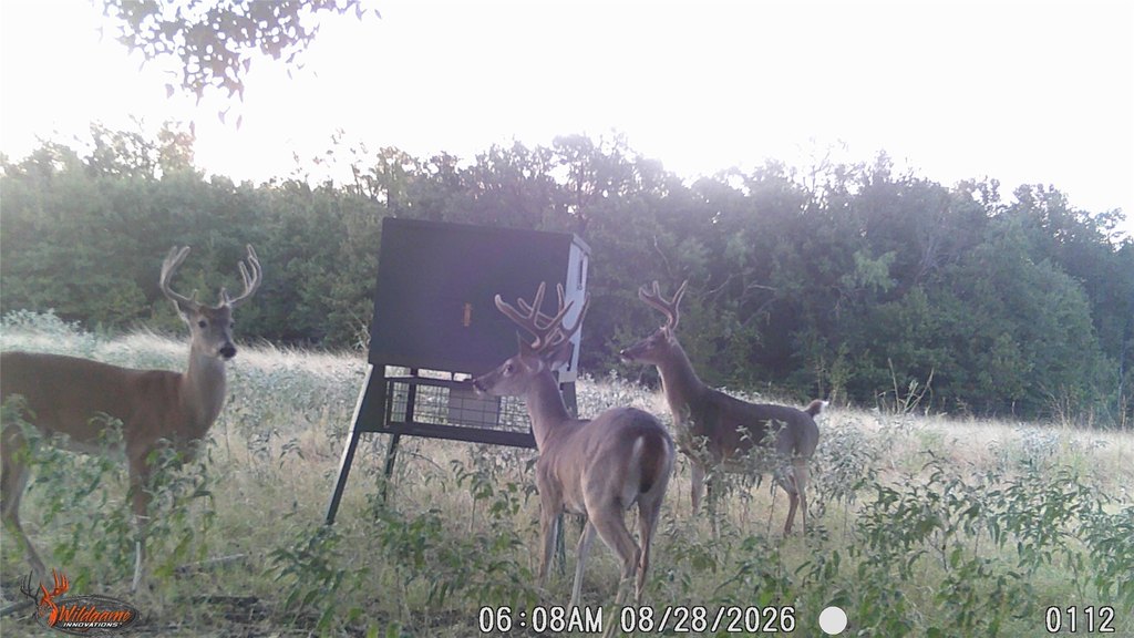 Picture 13