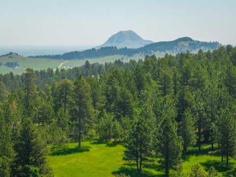 LAND - Whitewood, SD