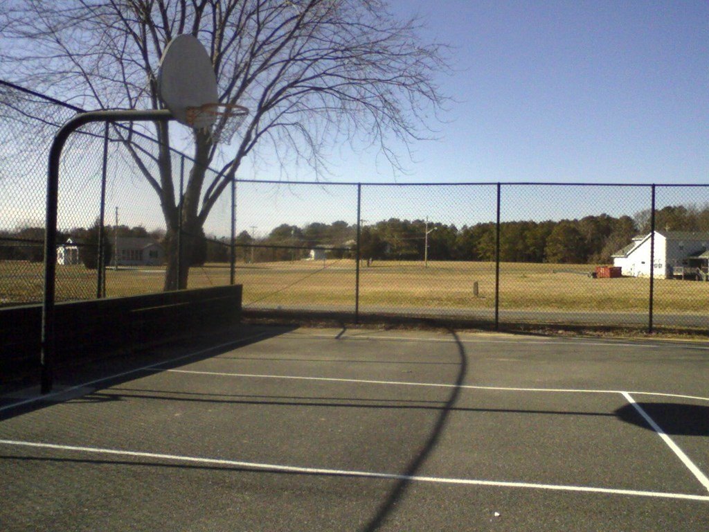Picture 3