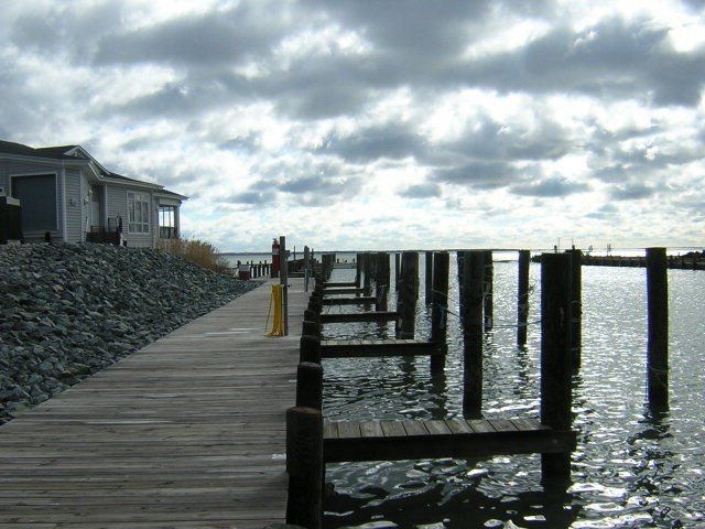 Picture 10