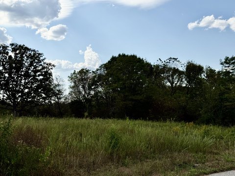 Land, Cabool, MO