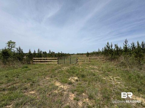 Robertsdale Land Ready to Build
