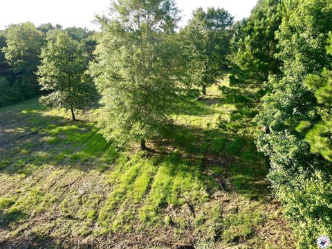 80 Acres Timberland Hunting Paradise