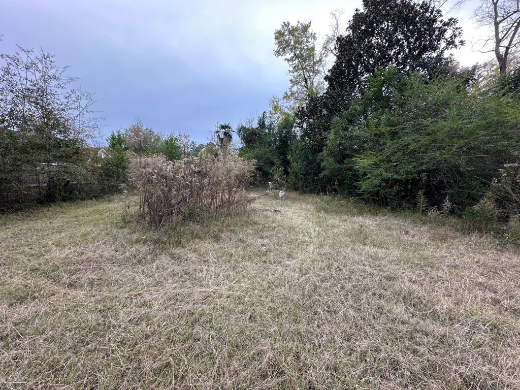 Picture 6