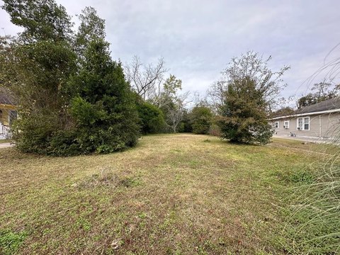 Residential Lot in Brundidge, AL