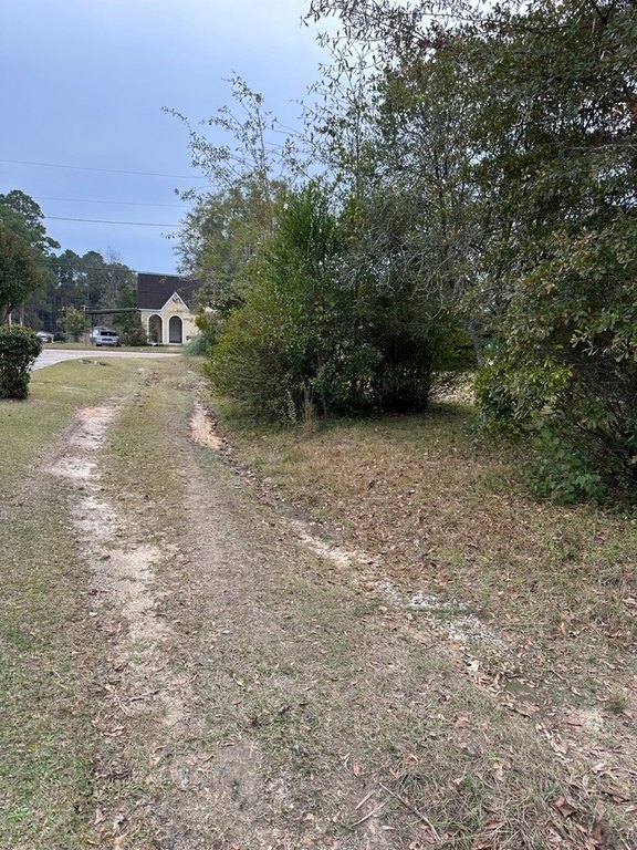 Picture 8