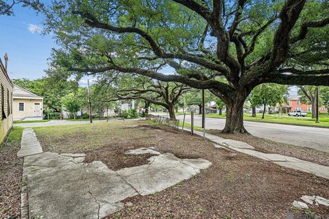 Land, New Orleans, LA