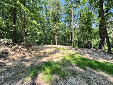 Land For Sale, Ringgold, GA