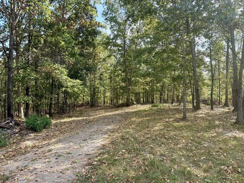 Land, Van Buren, MO