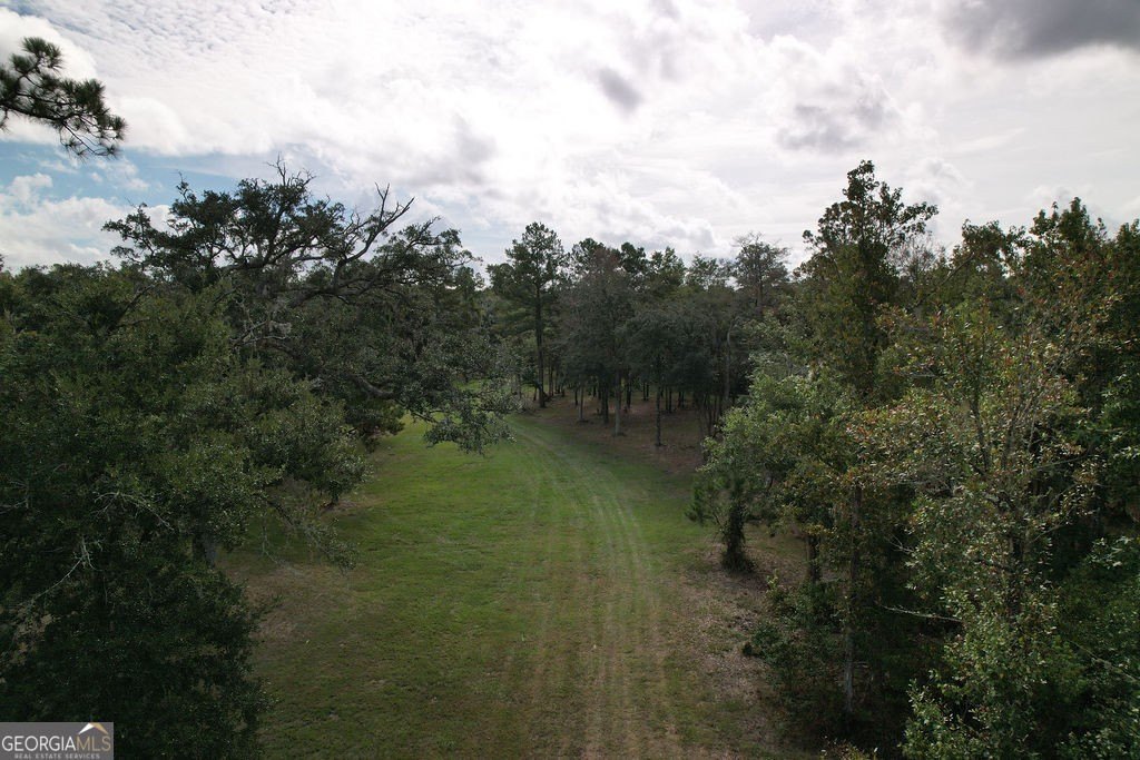 Picture 31