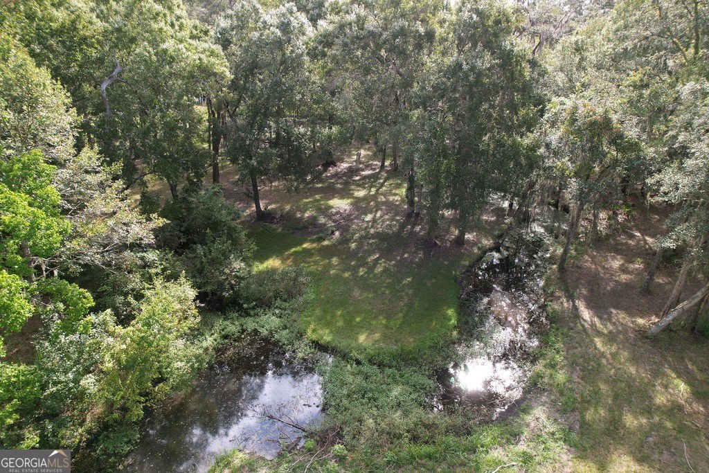Picture 36