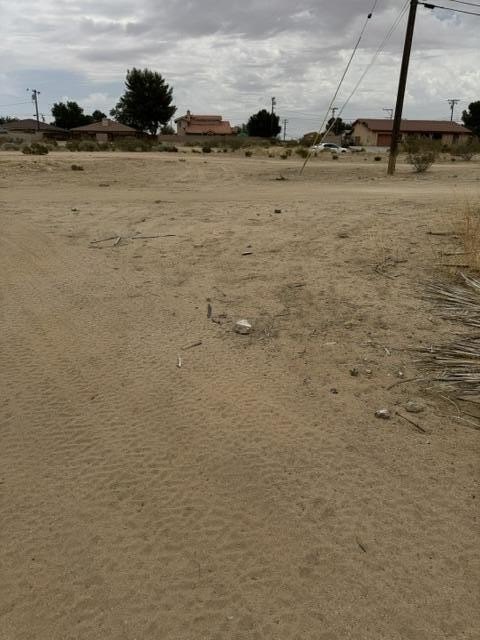 Picture 8