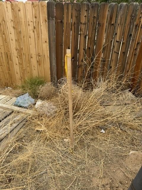 Picture 6
