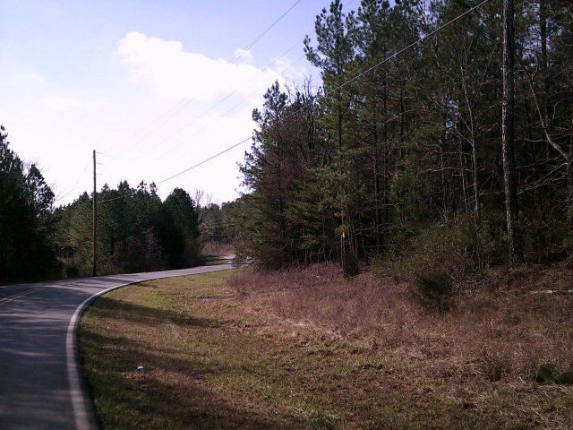 Picture 4