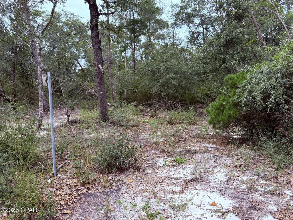 Picture 10