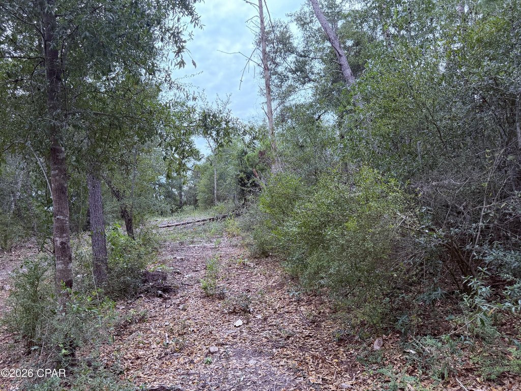 Picture 9