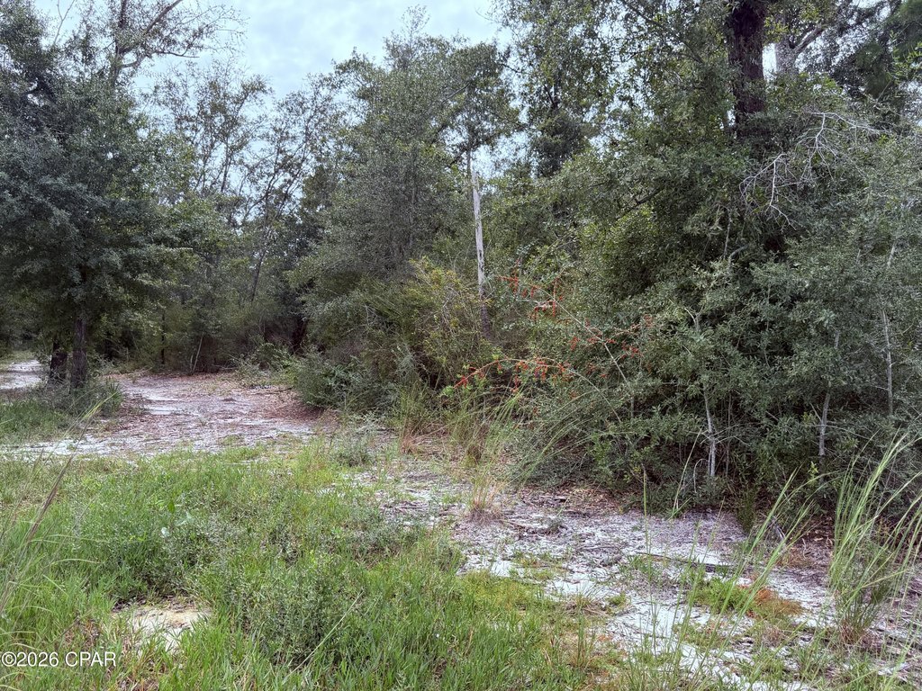 Picture 8