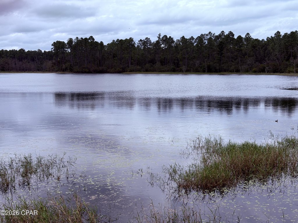 Picture 15