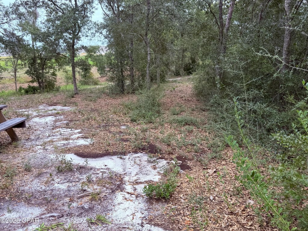 Picture 11