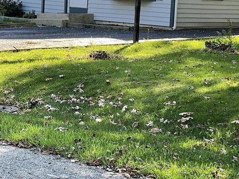 Land, Lake Villa, IL