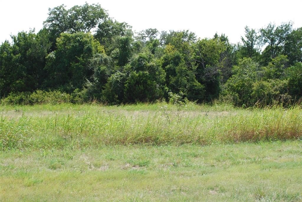 Whitney, TX Unimproved Land