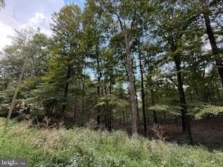 2.34-Acre Wooded Lot