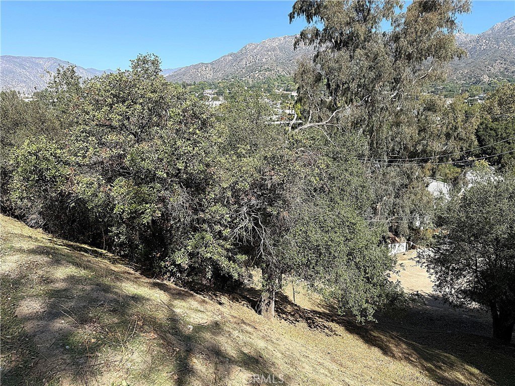 Picture 18