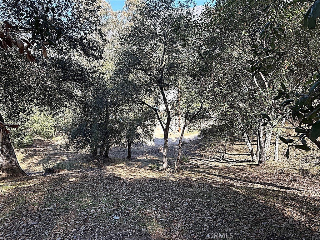 Picture 19