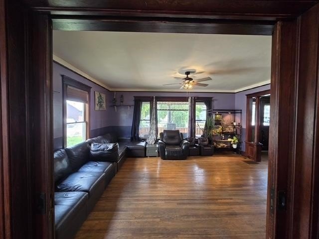 Picture 15