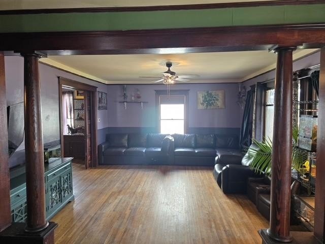 Picture 16